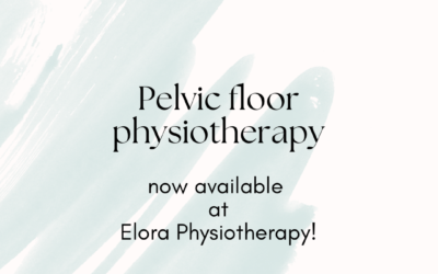 Pelvic Floor Physiotherapy Now Available!