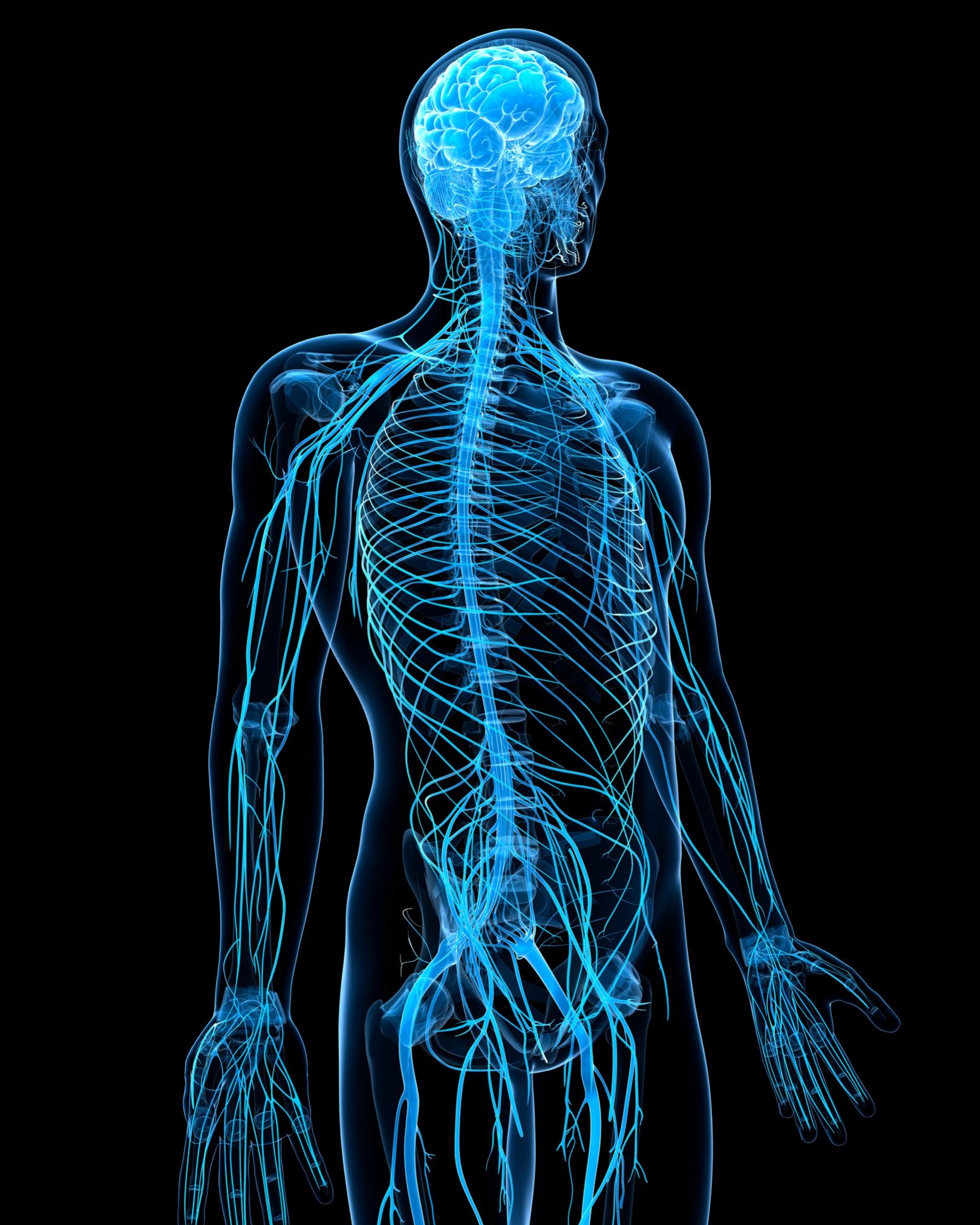 Graphic of women stretching with toddlers