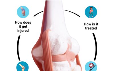 Meniscal Injuries – Everything You Need to Know