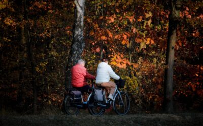 Living Well with Osteoarthritis: A Guide to Self-Management